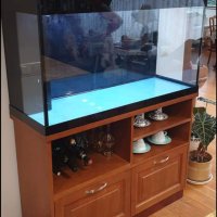 Изработвам сладководни аквариуми по желание и размер на клиента, снимка 9 - Аквариуми - 42346723