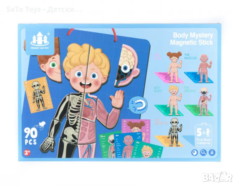 Магнитна дъска с човешкото тяло, снимка 1