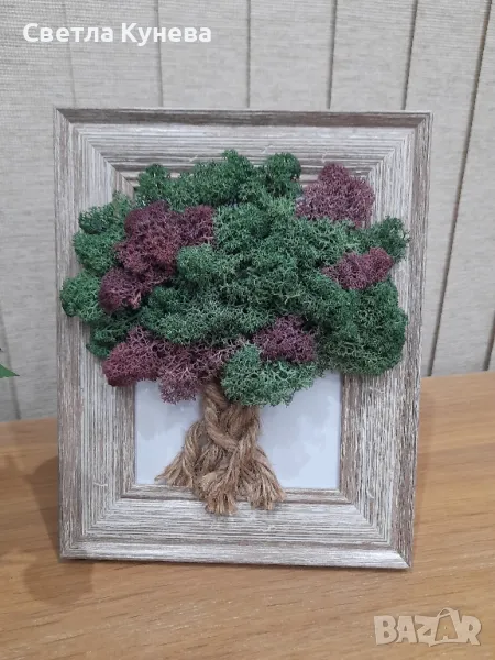 Картина със скандинавски мъх , снимка 1