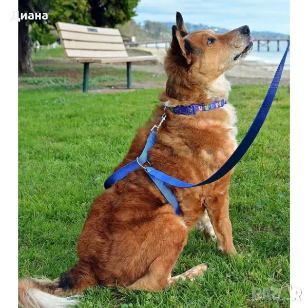 Тренировъчна каишка повод за кучета, снимка 1