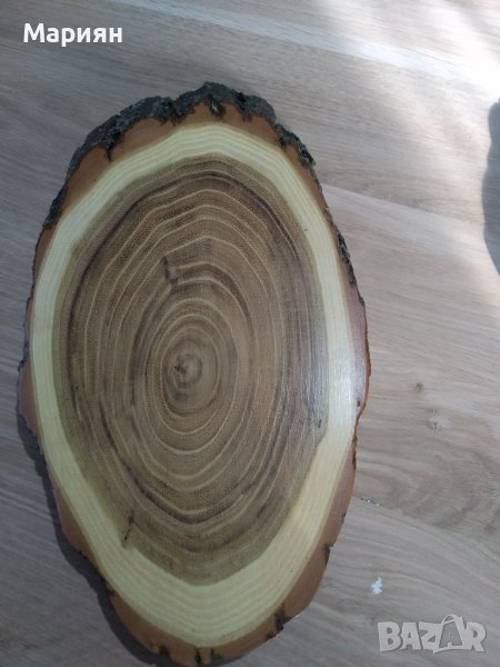 Поставки за ловни трофеи , снимка 1