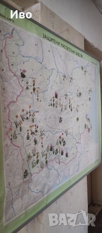 Голяма стенна карта на защитени растения, снимка 7 - Колекции - 41305987
