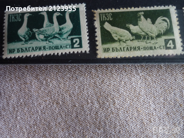 Пощенски марки, снимка 1 - Филателия - 36338689