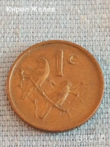 Стара монета 1 цент 1966г. Южна Африка рядка за КОЛЕКЦИОНЕРИ 41222, снимка 2 - Нумизматика и бонистика - 48857773