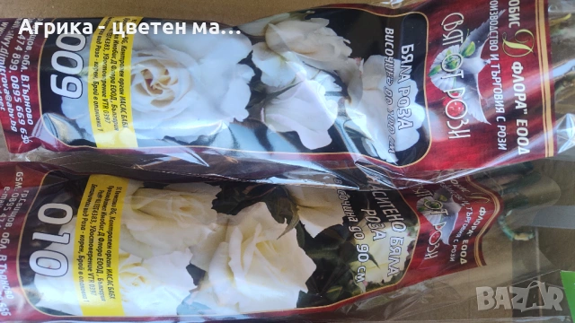 РОЗИ корени НОВО ЗАРЕЖДАНЕ от лицензиран разсадник , снимка 13 - Градински цветя и растения - 42675882