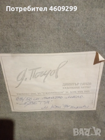 Димитър Пачов-уникат , снимка 5 - Картини - 52071324