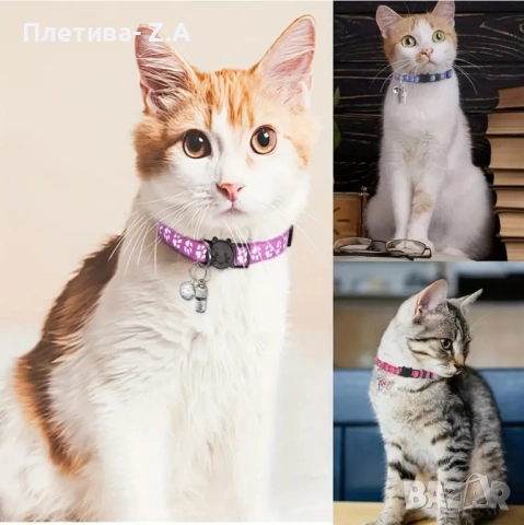 Каишка за котки 12 цвята , снимка 3 - За котки - 51615552