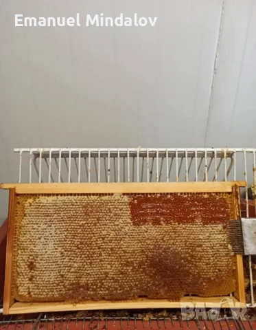 Пчелен мед от с. Правище, снимка 3 - Пчелни продукти - 56058235