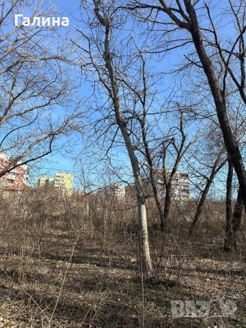 Продавам дърва орехи , снимка 4 - Други - 44178141