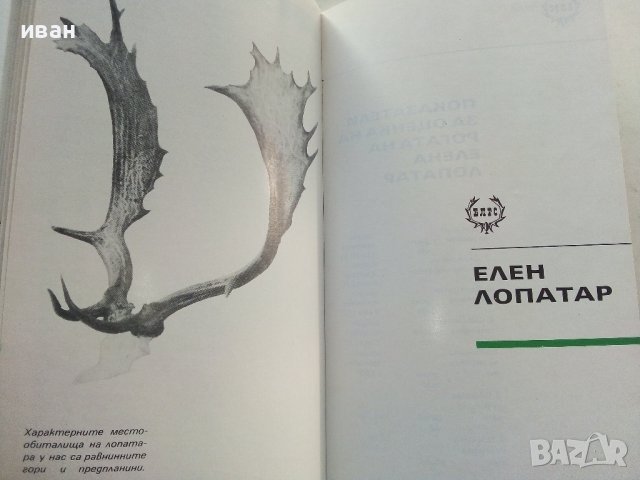 Ловни трофеи - Каталог - 1972г., снимка 4 - Други - 39625900