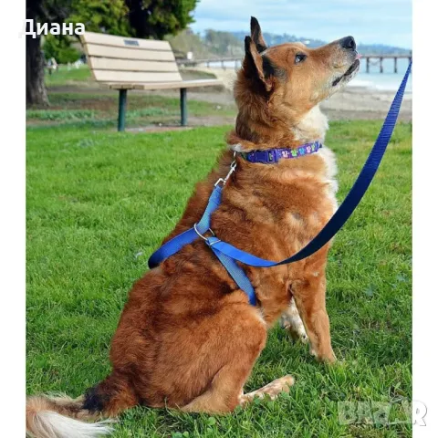 Тренировъчна каишка повод за кучета, снимка 1