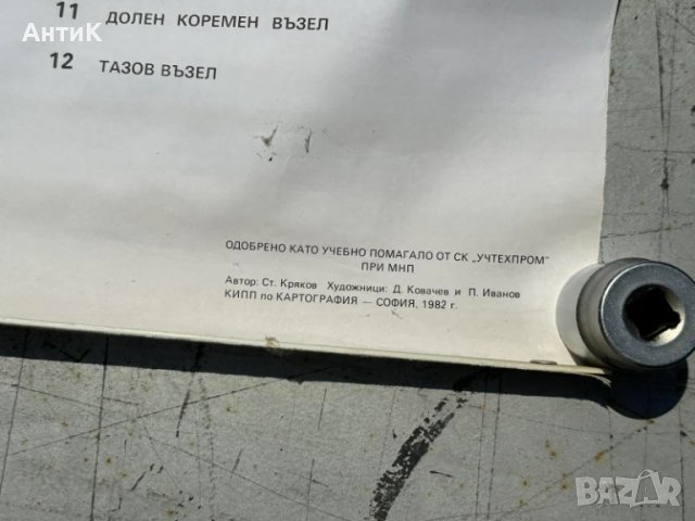 Соц Анатомични Медицински Учебни Плакати, снимка 7 - Антикварни и старинни предмети - 51100738