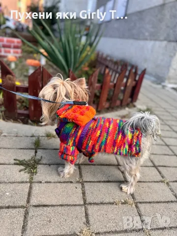 Плетена дрешка за куче по Индивидуален размер Различни цветове , снимка 7 - За кучета - 44343726