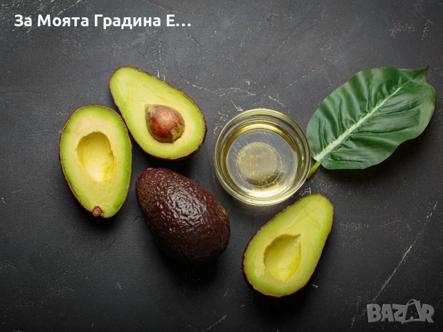 Авокадо , снимка 4 - Градински цветя и растения - 53636003