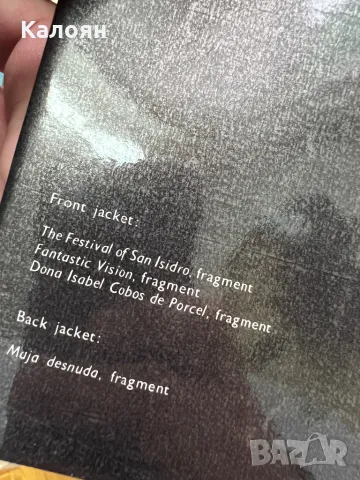 Стар албум на Гоя , снимка 13 - Специализирана литература - 48075673