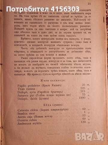 Пеперуди + Наставления за уредбата и гледането на училищните градини. 1896. , снимка 7 - Градински цветя и растения - 53784348