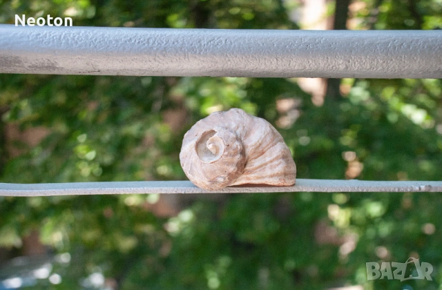 Обектив NIKON DX Nikkor AF-S 18-135 3.5-5.6 G ED, снимка 8 - Обективи и филтри - 53475891