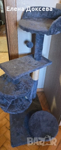 котешка катерушка