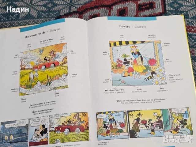 Картинни речници с английски думи и фрази, снимка 5 - Образователни игри - 56152274