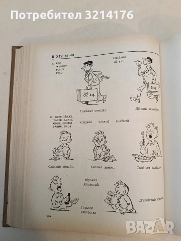 Картинный словарь русского языка - Ю. В. Ванников, А. Н. Щукин (1965), снимка 12 - Чуждоезиково обучение, речници - 53355507