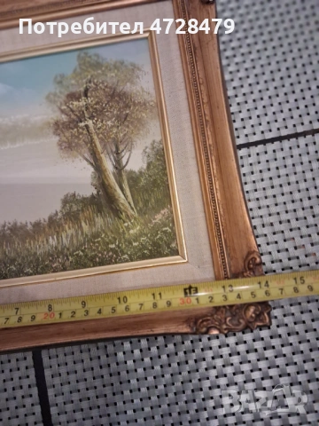 Картини с красиви рамки, снимка 8 - Картини - 53387361