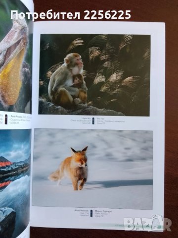 Осми международен фото салон Пловдив 2021г, снимка 5 - Енциклопедии, справочници - 50695846