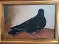 Картина масло на платно Гълъб, снимка 2