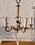 Бронзов полилей , снимка 2