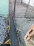 правене на покриви , снимка 8