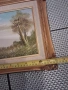 Картини с красиви рамки, снимка 8