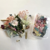 Микс сухи цветя в кутия за декорация натурални сапун сапуни свещи свещ бижу бижута смола аранжиране, снимка 2 - Изкуствени цветя - 36331627