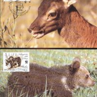 Италия 1991 - 2 броя Карти Максимум - WWF, снимка 1 - Филателия - 38890930