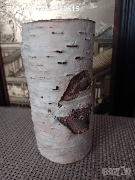 дървено пънче Бреза, пън за декорация, снимка 1