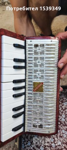 Акордеон , снимка 3 - Други - 41694316