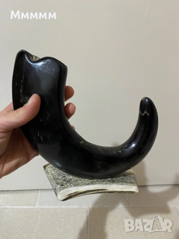 Рог за декорация, снимка 3 - Други ценни предмети - 52528456