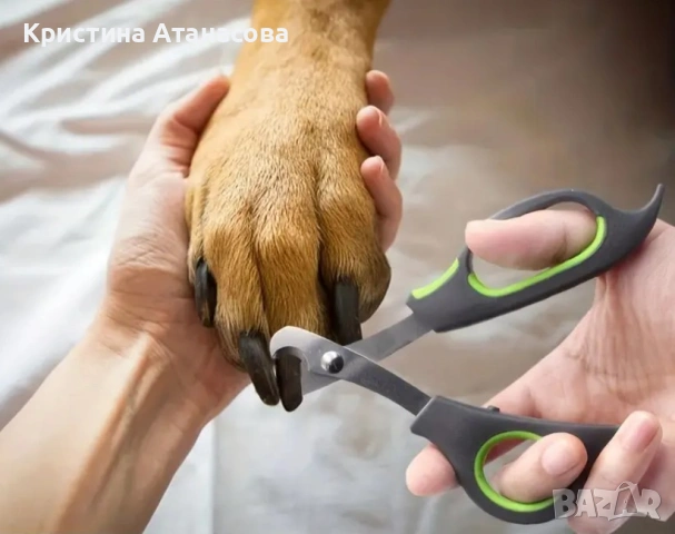 Ножица за куче За подстригване на нокти, снимка 2 - За кучета - 53057089