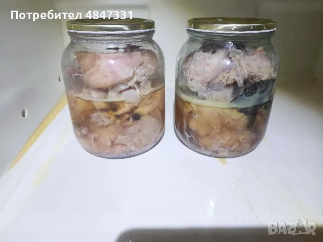 Кокошки.                            .