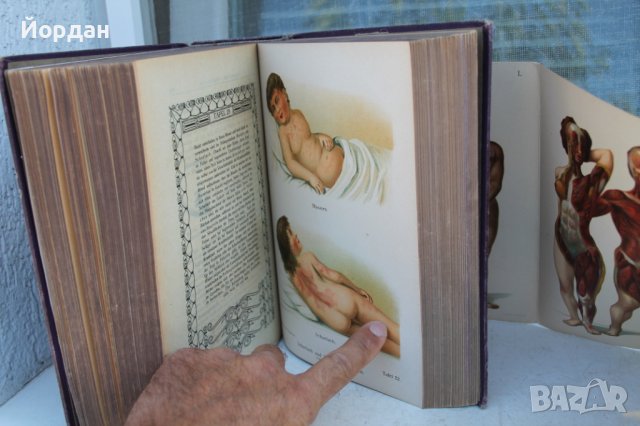 Немска книга за семейството 944 страници, снимка 8 - Колекции - 41808009