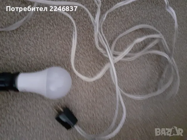 Крушка, снимка 5 - Крушки - 49099267