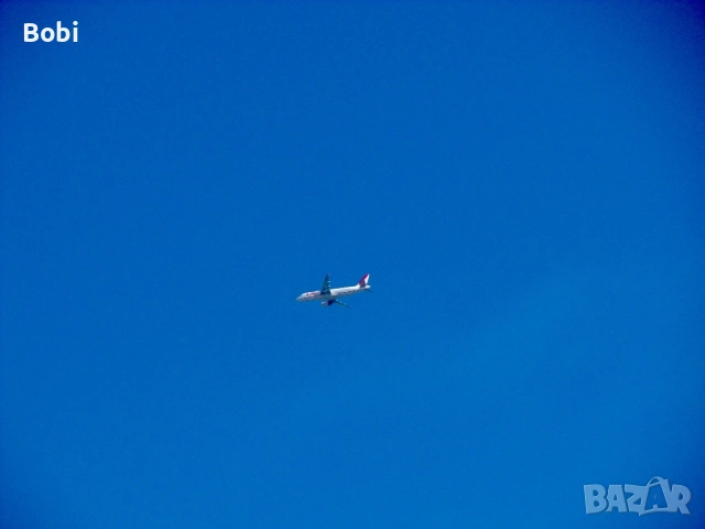 Canon PowerShot S3 IS, снимка 17 - Фотоапарати - 53474784