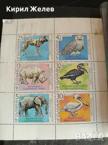 Пощенски марки чиста комплектна серия ЖИВОТНИ редки от соца за КОЛЕКЦИОНЕРИ 46290, снимка 6 - Филателия - 47755981