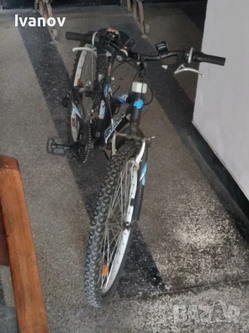 Детски велосипед Sprint Bachini Gamma 24, снимка 2 - Велосипеди - 50449091