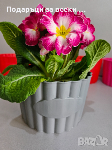 10 броя цветни кашпи само за 9.90!! Цветни кашпи  за цветя, орхидеи, снимка 10 - Саксии и кашпи - 44600365