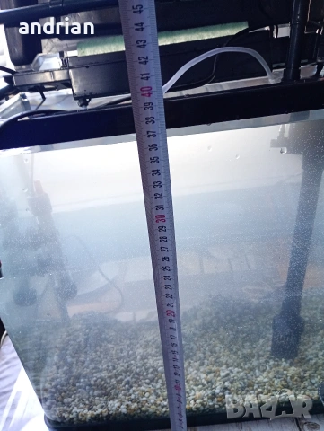 аквариум, снимка 10 - Аквариуми - 53656446