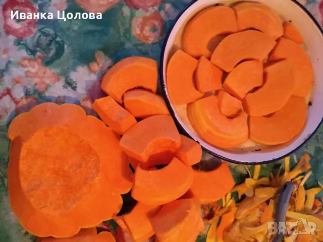 Детегледачка / домашна помощница, снимка 6 - Детегледачки - 47896632