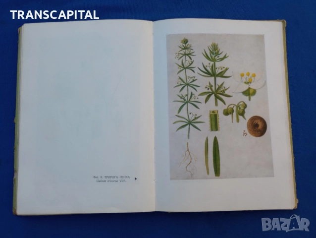 Борба с плевелите , снимка 4 - Специализирана литература - 51794322