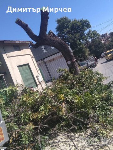 Рязане на високи и опасни дървета и почистване на дворове от треви и храсти., снимка 16 - Градинска техника - 36933277