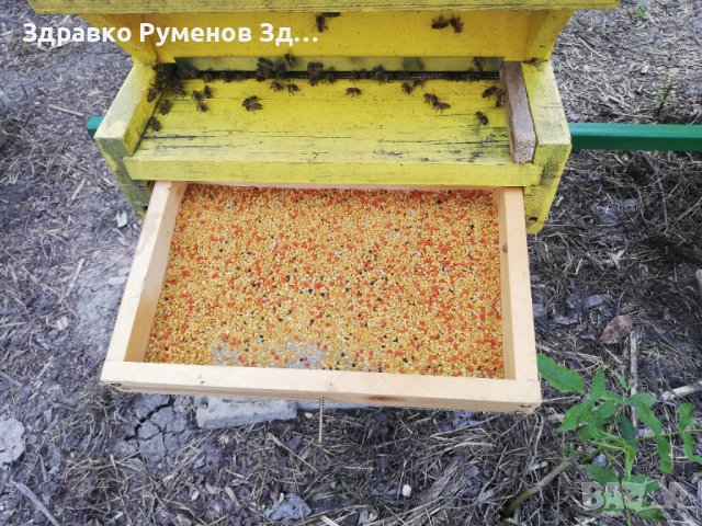 Пчелен прашец - 2025 година, снимка 3 - Пчелни продукти - 41354145