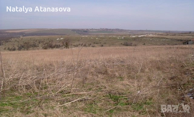 Парцел за продажба в Сърнец, област Добрич, снимка 6 - Парцели - 53656540