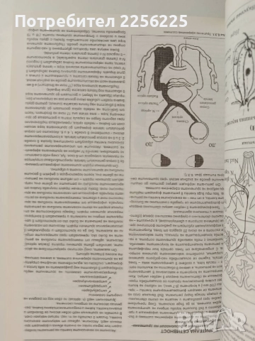 Неврология, снимка 9 - Специализирана литература - 51792617